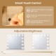 2-in-1 vanity mirror with 14 dimmable LED bulbs, featuring smart touch control and adjustable brightness for makeup.