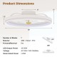 19-inch low-profile ceiling fan with adjustable LED, 6-speed settings, and reversible blades for rooms up to 215 sq.ft.