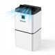 Compact 30-pint dehumidifier with digital display, suitable for rooms up to 1,500 sq.ft, featuring a child-lock setting.