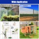 Galvanized chicken wire mesh roll, 23-gauge steel, 1/4" holes, ideal for protecting gardens and animal cages.