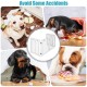 Freestanding 24-inch white wooden pet gate with 360° hinges, ideal for small dogs and preventing wall damage.