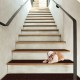 Soft brown slip-resistant stair treads made of durable polyester, enhancing safety for pets and family on stairs.