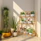 3-tier bamboo foldable plant stand showcasing potted plants, ideal for indoor and outdoor use, with sturdy design.