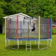 Colorful 14 feet trampoline with safety enclosure net and ladder, perfect for outdoor fun for kids and adults.