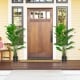 Two 5-foot artificial monstera trees in black pots, perfect for enhancing outdoor entryways or indoor spaces.