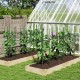 Adjustable 60-inch plant support trellis for climbing plants, featuring sturdy metal pipes and optimal support design.