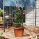 Adjustable 60-inch plant support trellis in a flower pot, ideal for climbing plants, featuring sturdy metal.