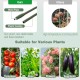 60-inch adjustable plant support trellis made of metal with plastic coating, ideal for tomatoes, peas, and flowers.