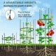 Adjustable 60-inch plant support trellis with three heights, ideal for climbing plants in gardens or pots.