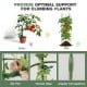 60-inch adjustable plant support trellis with tomato clips and zip ties, ideal for climbing plants in gardens and pots.