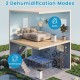 4000 sq.ft 80 pint dehumidifier in white with continuous and auto modes, ideal for bedrooms and basements.