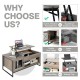 Lift top coffee table in gray with storage, double door design, and stable pneumatic lift for versatile use.