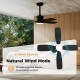 42-inch black ceiling fan with light, featuring 6 speeds and natural wind mode for enhanced comfort in indoor spaces.