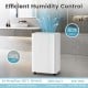 White 54 Pints dehumidifier for home, 4500 sq.ft coverage, featuring a smart touch panel and drain hose for easy use.