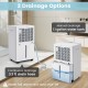 Dehumidifier with 1.1 gallon tank and drain hose options, designed for efficient moisture removal in large rooms.
