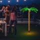 5-foot LED pre-lit palm tree decor with warm lights, perfect for indoor or outdoor party decoration.