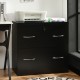 2-drawer black file cabinet with lock, designed for letter and legal size documents, ideal for home or office use.