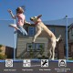 14 ft trampoline with enclosure net and ladder, featuring high elasticity and a 375 lbs load capacity for family fun.