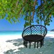 Cushioned black hammock swing chair hanging from a tree, perfect for outdoor relaxation by the beach.