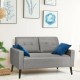 Gray 55-inch modern loveseat sofa with soft cushions, solid rubber wood legs, ideal for living room or office use.