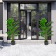 Two 5-foot artificial monstera trees in cement pots, featuring 15 large leaves each, ideal for indoor or outdoor.