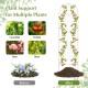 Metal garden trellis for climbing plants, 71 x 20 inches, featuring a charming floral design, ideal for cucumbers and.