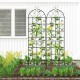 Metal garden trellis set with elegant vine design, perfect for supporting climbing plants in outdoor gardens.