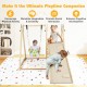 4-in-1 indoor jungle gym featuring a baby swing, climbing ramp, and solid wood frame for safe, versatile playtime.
