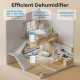 65 pints dehumidifier in a home setting, featuring LED display, 24-hour timer, and large water tank for efficient.