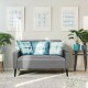Modern 55-inch gray loveseat sofa with soft cushions, solid rubber wood legs, perfect for living room comfort.