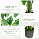 5 feet artificial monstera tree set with 15 large PEVA leaves and sturdy trunks in a solid cement pot for vibrant decor.