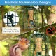 Squirrel-proof caged tube wild bird feeder with precise openings, designed for multiple birds to feed outdoors.