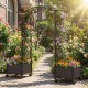 Self-watering planter boxes with lattice trellis and roof in brown, ideal for vibrant plant growth on patios or gardens.