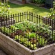 Decorative metal garden fence with fleur-de-lis finials, ideal for protecting plants in flower beds and courtyards.