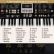61-key electric keyboard with dual voices, adjustable stand, and stool, featuring light-up keys for beginners.