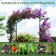 Garden arch trellis for climbing plants, made of weather-resistant PE-coated metal, ideal for garden entrances and.