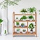 Four-tier bamboo storage shoe rack showcasing plants, ideal for entryway or hallway organization and decor.