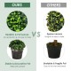 4-foot artificial spiral boxwood topiary in a golden cement pot, UV resistant for indoor and outdoor decor.