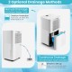 Dehumidifier with continuous drainage option, 32 pints capacity, ideal for rooms up to 1750 sq. ft., easy to operate.