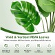 5-foot artificial monstera tree set with 15 PEVA leaves, ideal for vibrant indoor or outdoor decoration.