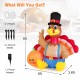 6-foot inflatable turkey with pumpkin, LED lights, and ground stakes for Thanksgiving outdoor decoration.