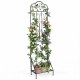 Freestanding 75 x 20 inch black metal garden trellis with decorative curves, featuring a foldable shelf for plant display.