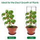 4 Pack garden trellis for climbing plants, featuring a stable iron frame and elegant dark green design for vertical.