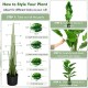 5-foot artificial monstera tree set with 15 large PEVA leaves, perfect for indoor or outdoor decoration.