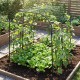 Tall black metal garden arch trellis supporting climbing plants, designed for outdoor use and promoting healthy growth.