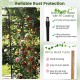 7.5 FT tall black metal garden arch trellis with PE-coated tubes, providing support for climbing plants outdoors.