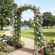 Garden arbor trellis with curved roof, supporting climbing roses, ideal for outdoor events and garden entrances.