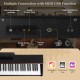 Back panel of the 88-Key Hammer Action Weighted Keyboard showing MIDI USB function, pedal ports, and audio jacks.