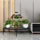 Three-tier metal corner plant display rack with durable frame, spacious partitions, and decorative lace, ideal for.