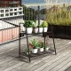 2-tier patio metal plant stand with a rust-resistant finish, ideal for displaying plants on balconies or gardens.